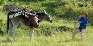 Antoinette dans le Cévennes
